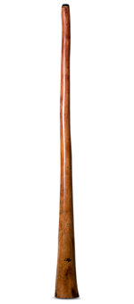 Tristan O'Meara Didgeridoo (TM303)